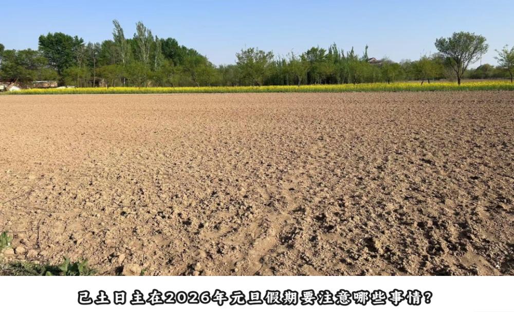 己土日主在2026年元旦假期要注意哪些事情?