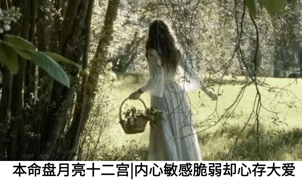 本命盘月亮十二宫|内心敏感脆弱却心存大爱