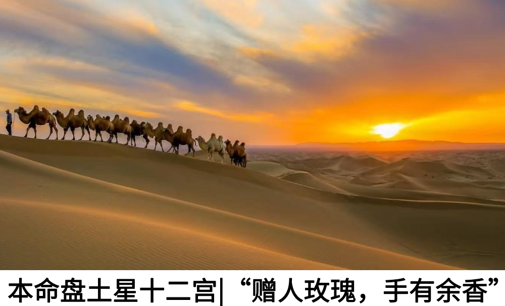 本命盘土星十二宫|&ldquo;赠人玫瑰，手有余香&rdquo;