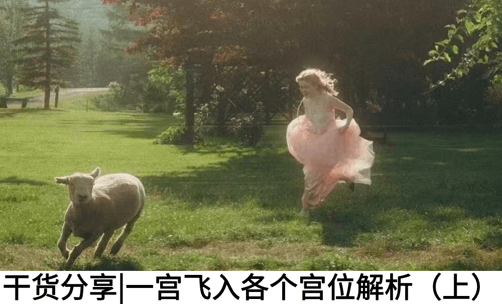 干货分享|一宫飞入各个宫位解析（上）