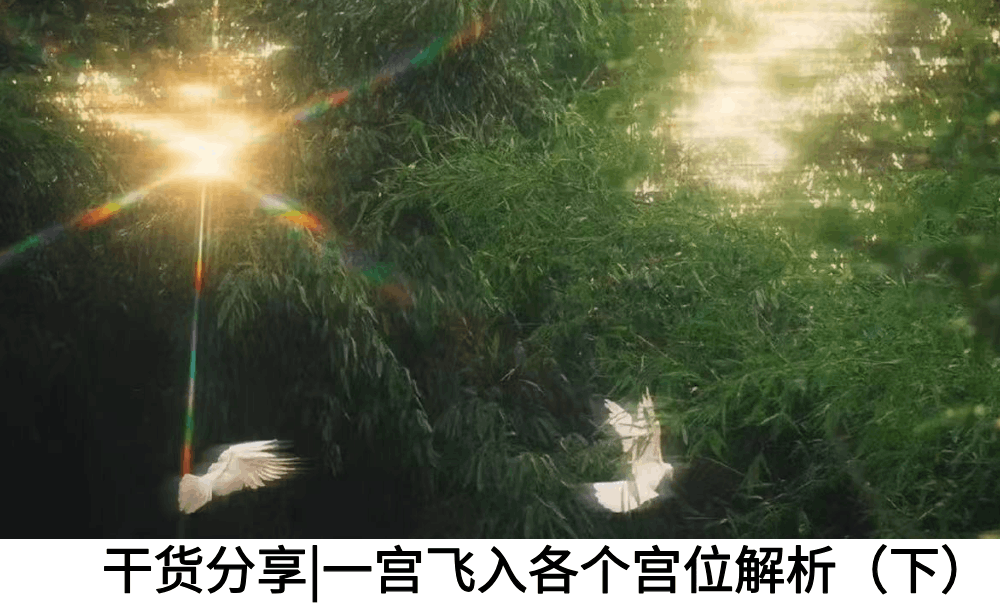 干货分享|一宫飞入各个宫位解析（下）