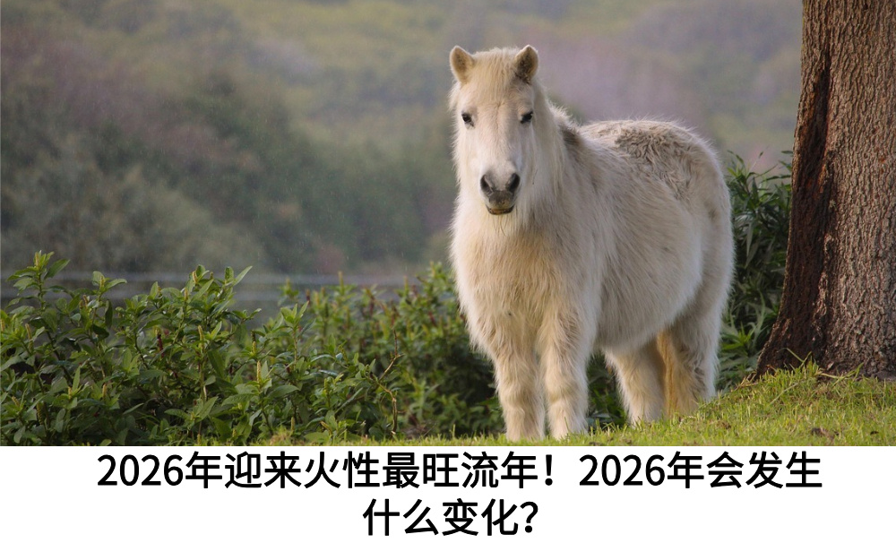2026年迎来火性最旺流年！2026年会发生什么变化？