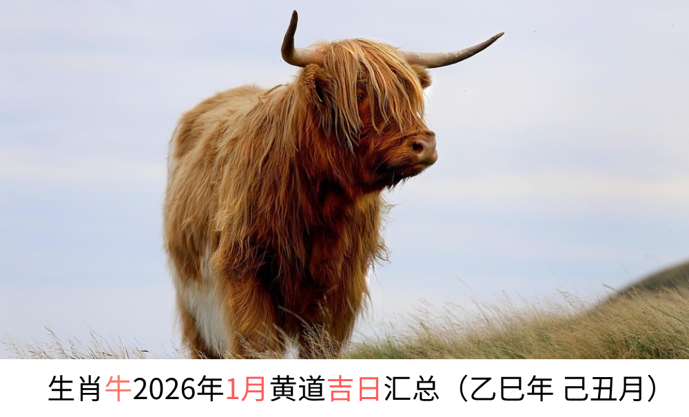生肖牛2026年1月黄道吉日汇总(乙巳年 己丑月)