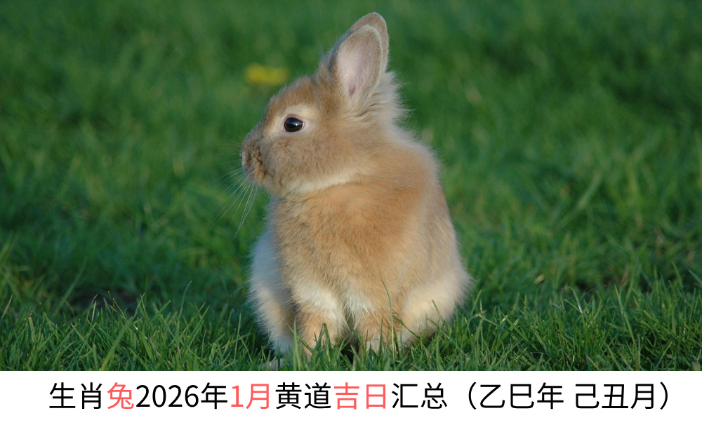 生肖兔2026年1月黄道吉日汇总（乙巳年 己丑月）