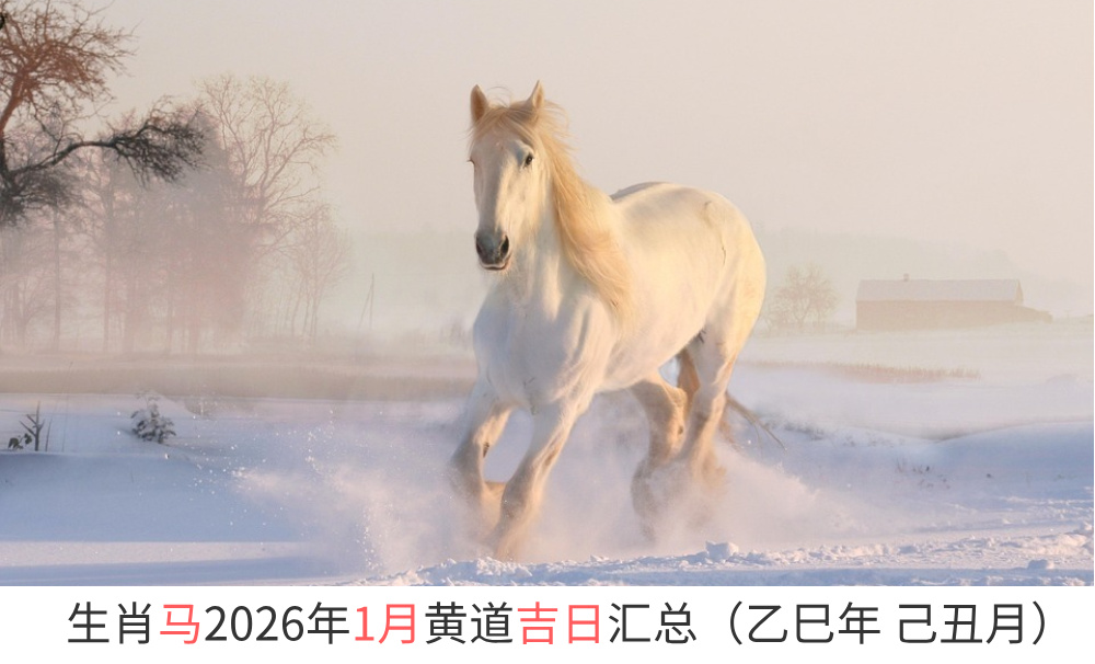 生肖马2026年1月黄道吉日汇总（乙巳年 己丑月）