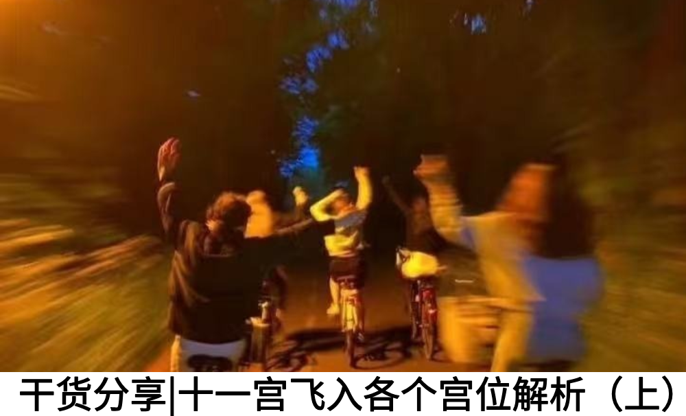 干货分享|十一宫飞入各个宫位解析（上）