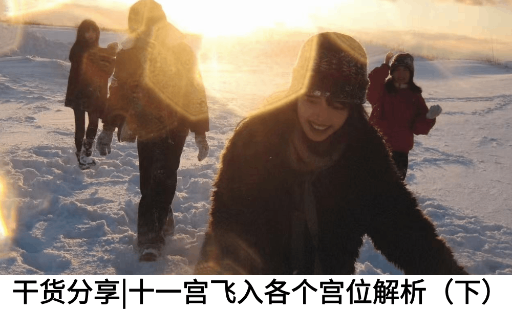 干货分享|十一宫飞入各个宫位解析（下）