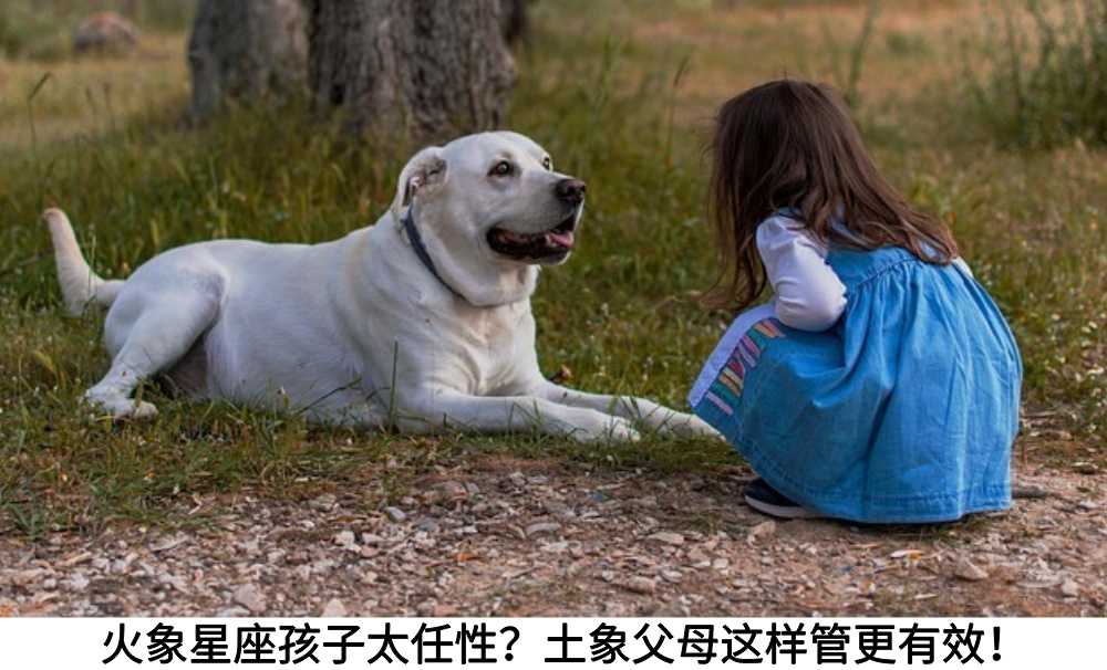 火象星座孩子太任性?土象父母这样管更有效!