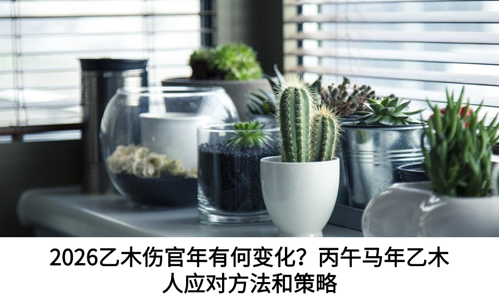2026乙木伤官年有何变化？丙午马年乙木人应对方法和策略