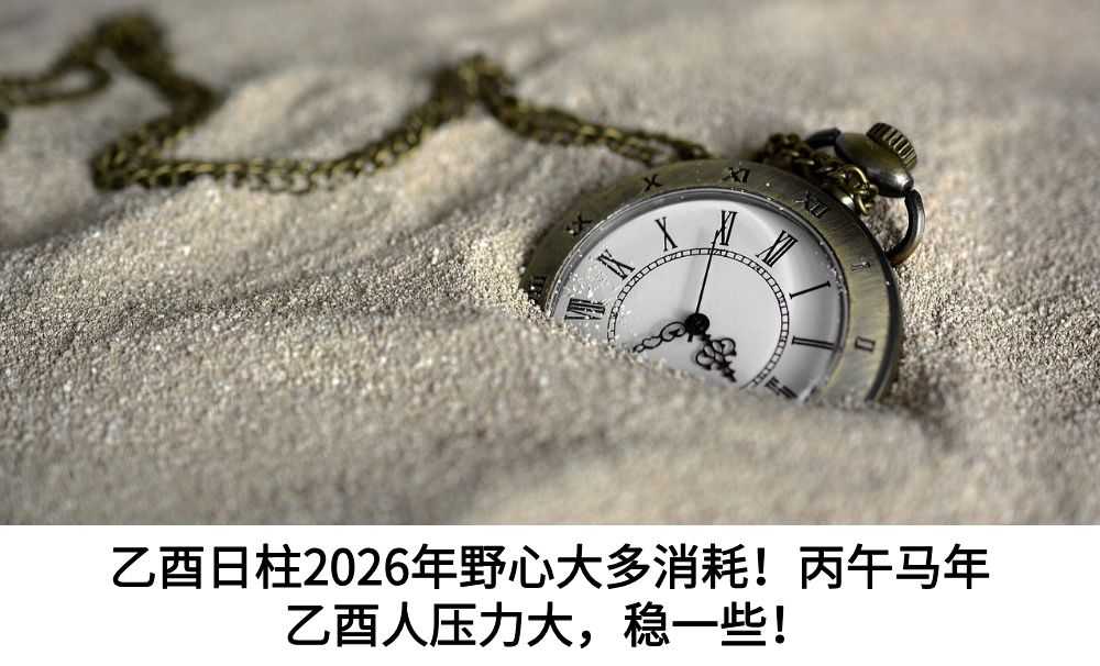 乙酉日柱2026年野心大多消耗!丙午马年乙酉人压力大,稳一些!