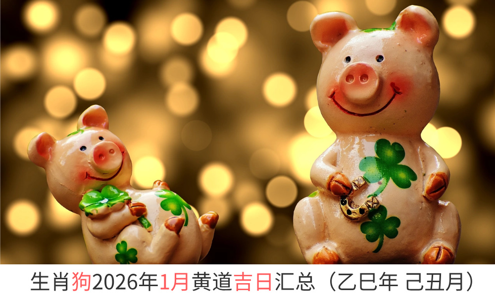 生肖猪2026年1月专用黄道吉日汇总（乙巳年 己丑月）