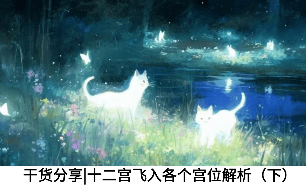 干货分享|十二宫飞入各个宫位解析（下）