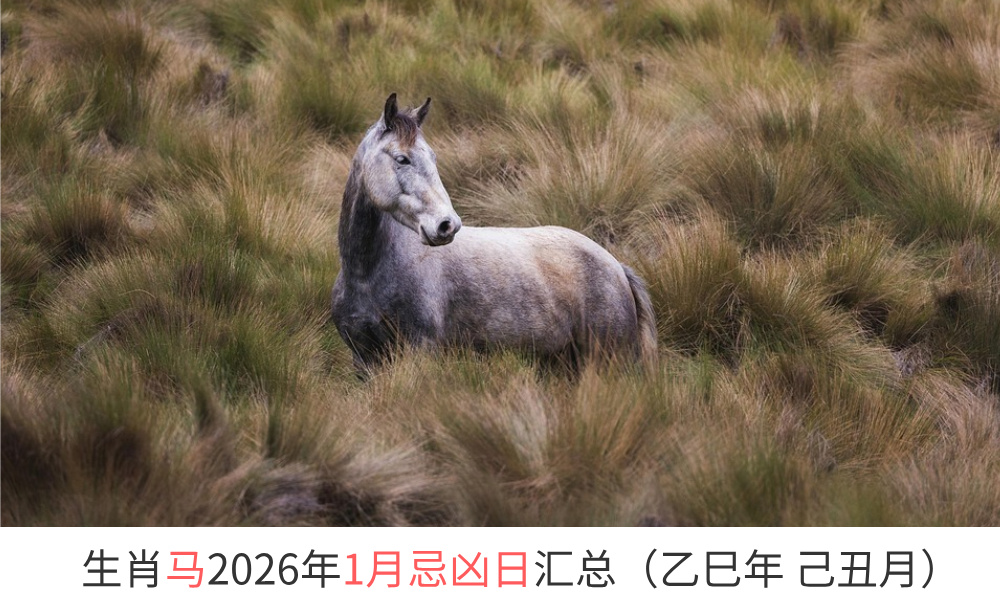 2026年1月生肖马忌凶日汇总（趋吉避凶）