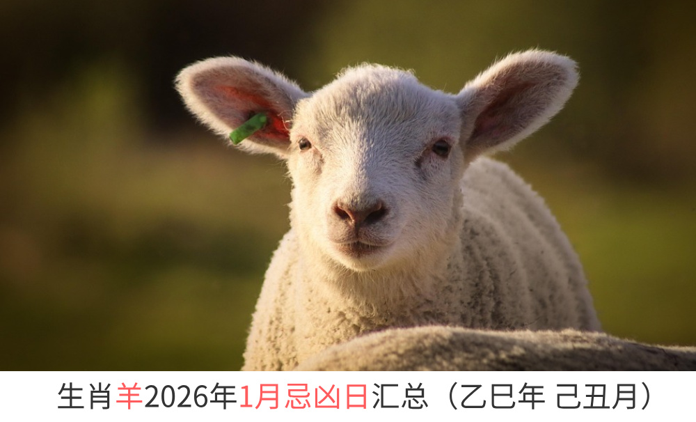 2026年1月生肖羊忌凶日汇总（趋吉避凶）