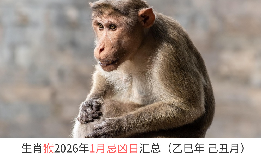 2026年1月生肖猴忌凶日汇总（趋吉避凶）