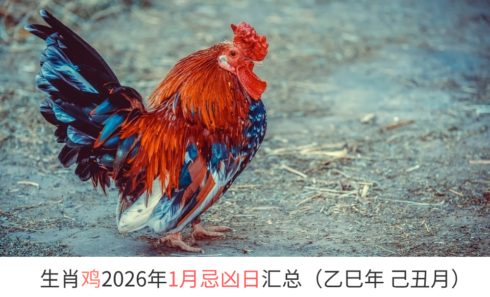 2026年1月生肖鸡忌凶日汇总（趋吉避凶）