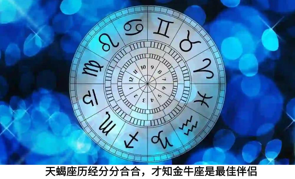 天蝎座历经分分合合,才知金牛座是最佳伴侣