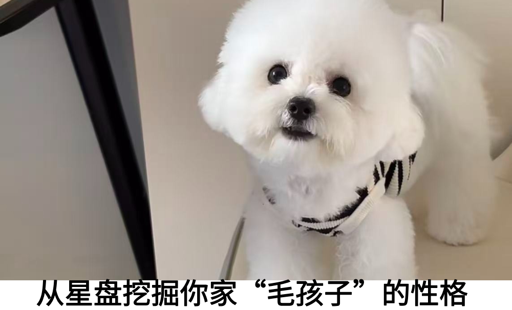 从星盘挖掘你家“毛孩子”的性格