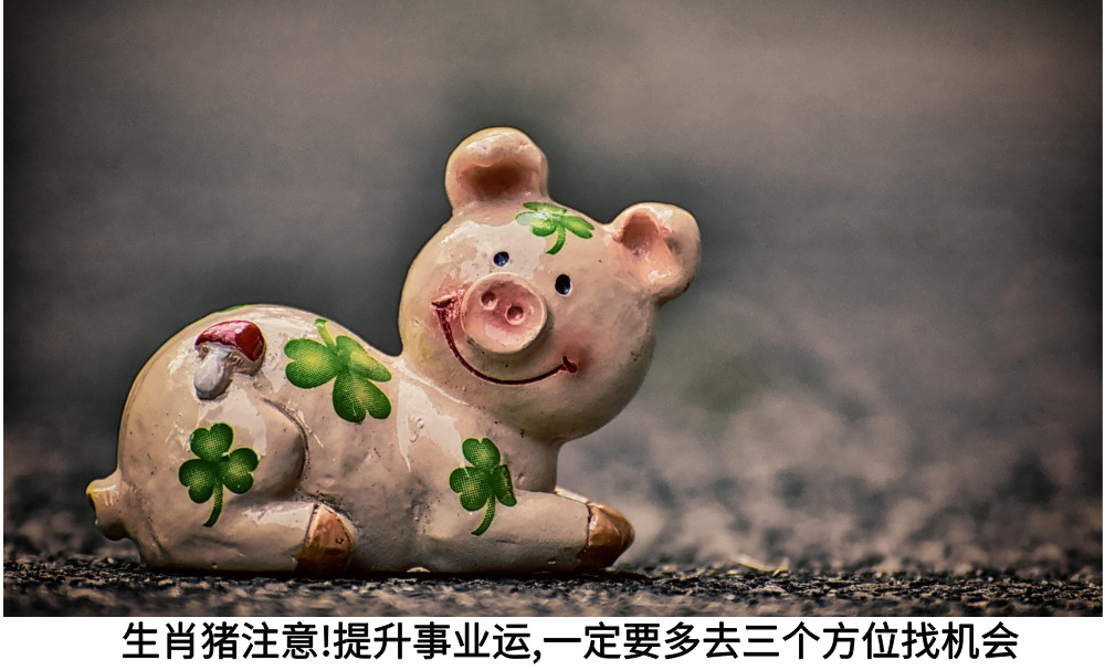 生肖猪注意!提升事业运,一定要多去三个方位找机会