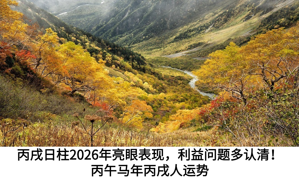 丙戌日柱2026年亮眼表现,利益问题多认清!揭示丙午马年丙戌人运势