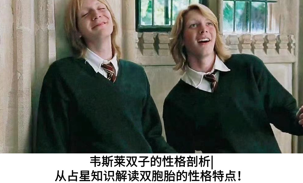 韦斯莱双子的性格剖析|从占星知识解读双胞胎的性格特点！