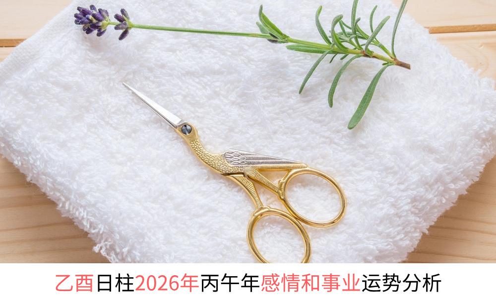 乙酉日柱2026年丙午年感情和事业财运势分析