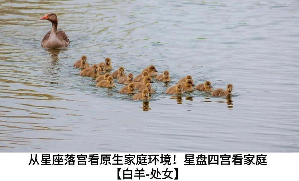 从星座落宫看原生家庭环境！星盘四宫看家庭【白羊-处女】