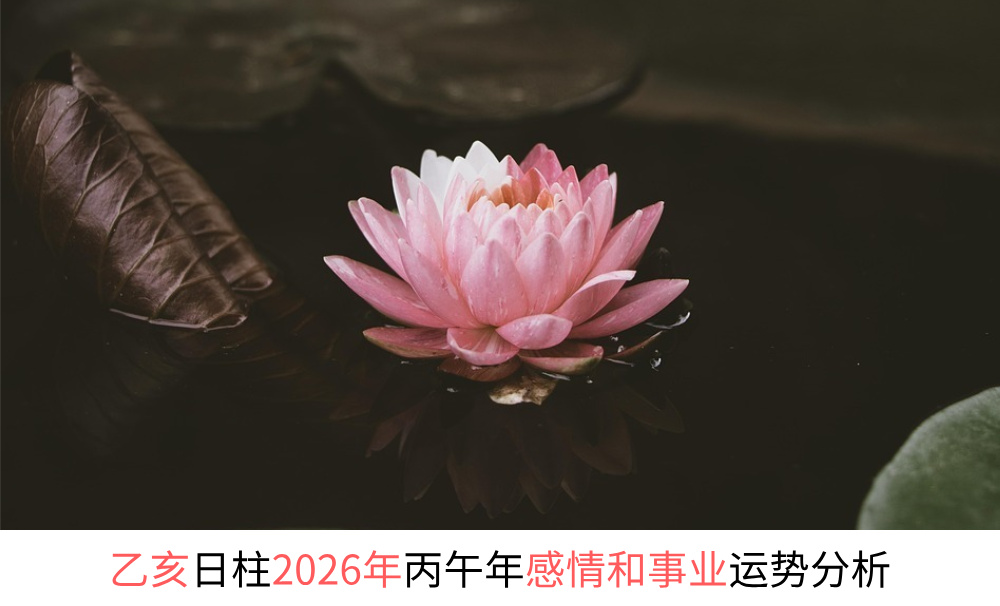 乙亥日柱2026年丙午年感情和事业财运势分析
