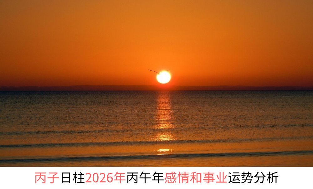 丙子日柱2026年丙午年感情和事业财运势分析