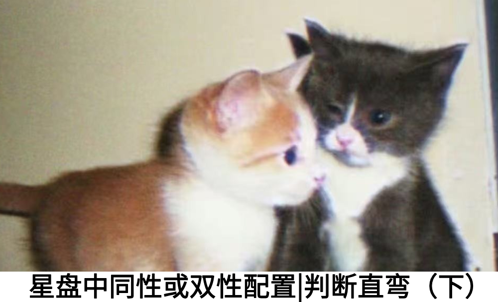 星盘中同性或双性配置|判断直弯（下）