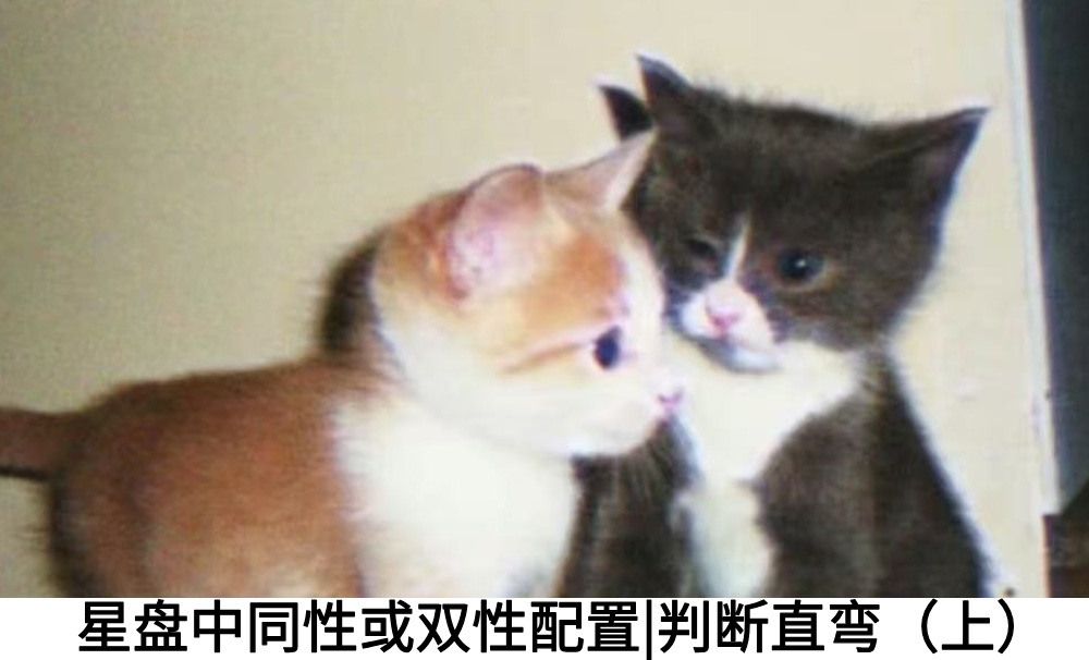 星盘中同性或双性配置|判断直弯（上）