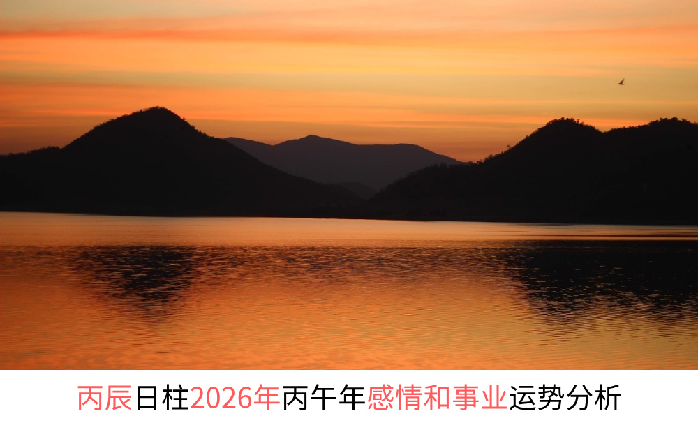 丙辰日柱2026年丙午年感情和事业财运势分析