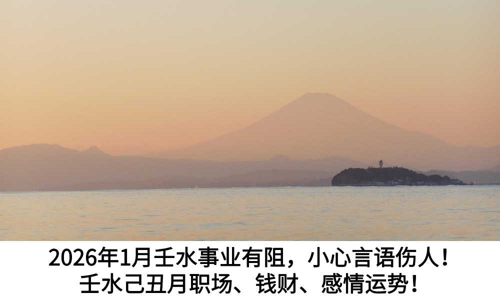 2026年1月壬水事业有阻,小心言语伤人!壬水己丑月事业、钱财、感情运势!
