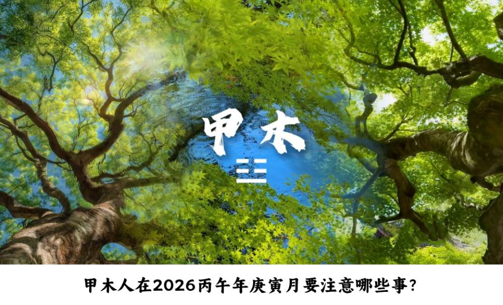 甲木人在2026丙午年庚寅月要注意哪些事？