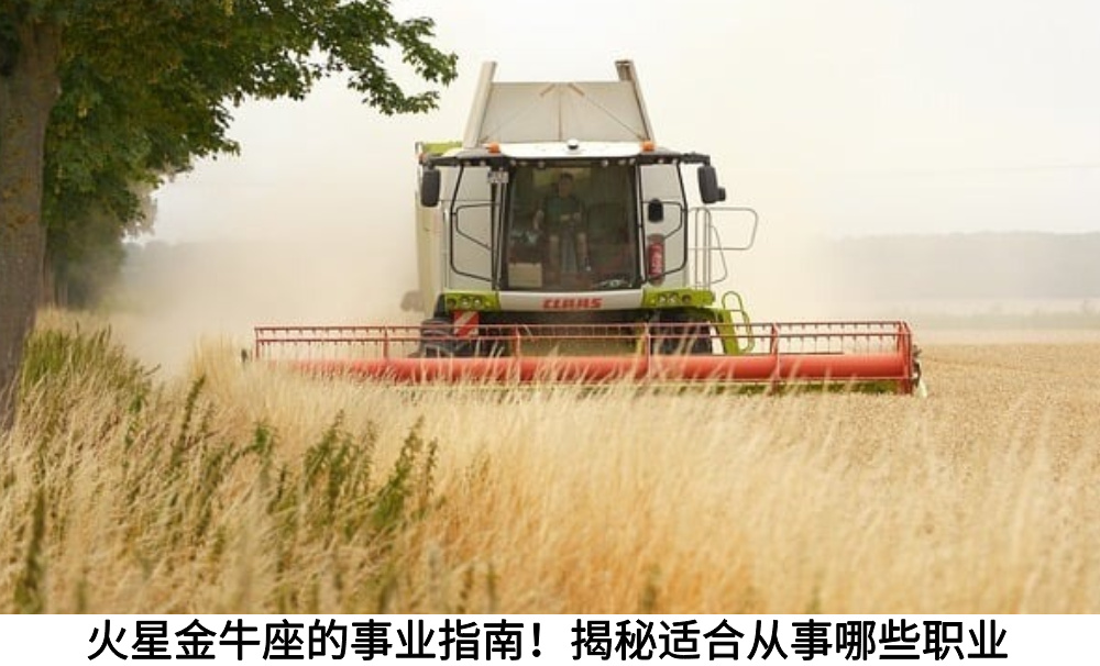 火星金牛座的事业指南！揭秘适合从事哪些职业