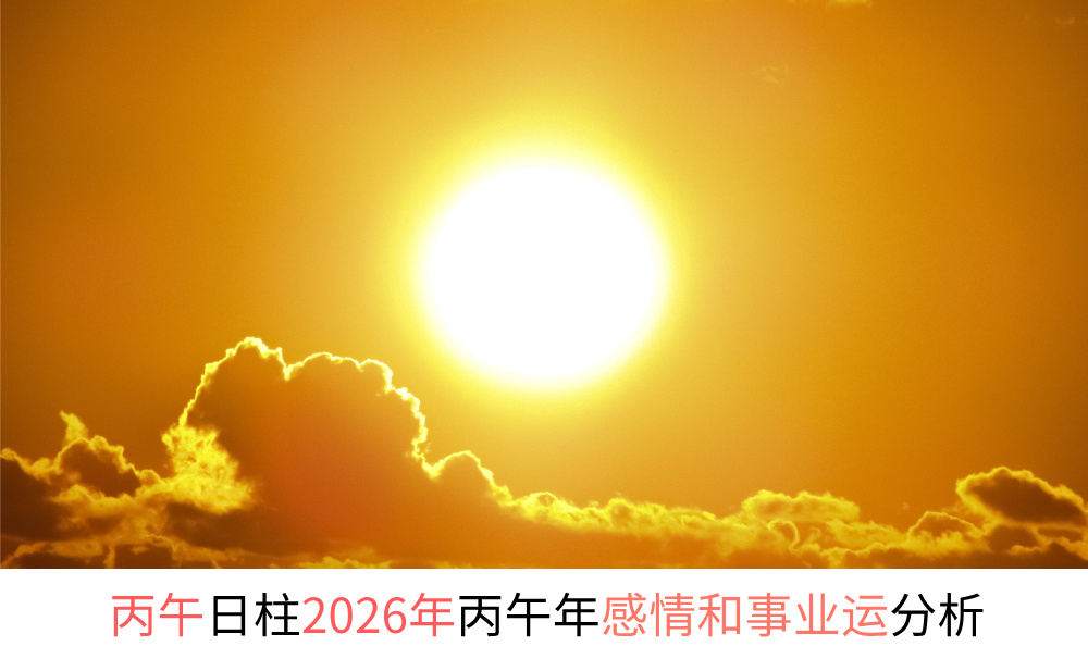 丙午日柱2026年丙午年感情和事业财运分析
