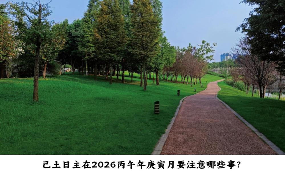 己土日主在2026丙午年庚寅月要注意哪些事？