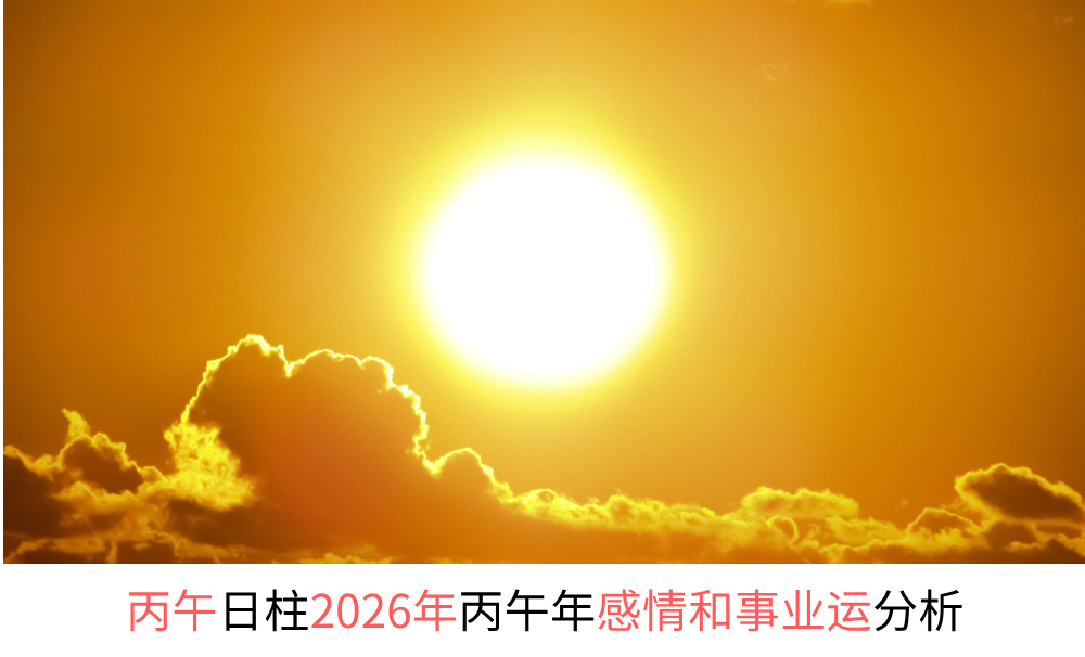 丙午日柱2026年丙午年感情和事业财运分析