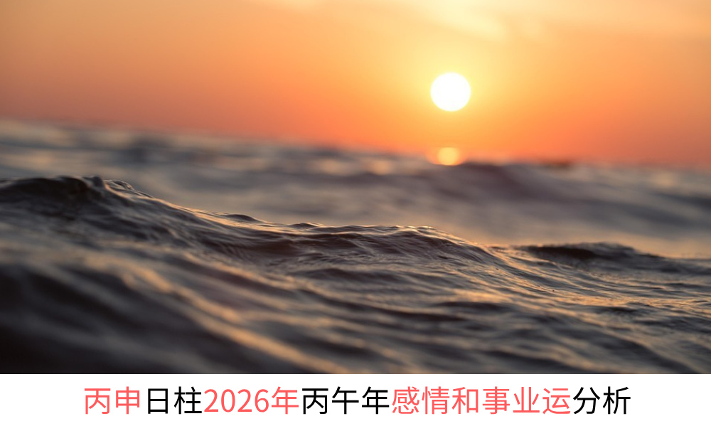 丙申日柱2026年丙午年感情和事业财运分析