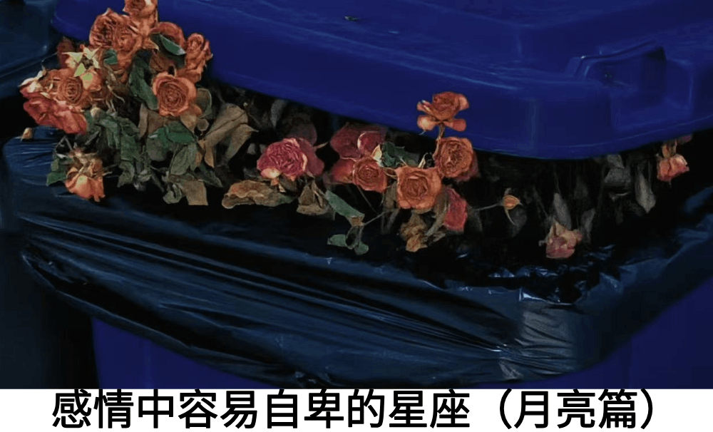 感情中容易自卑的星座(月亮篇)