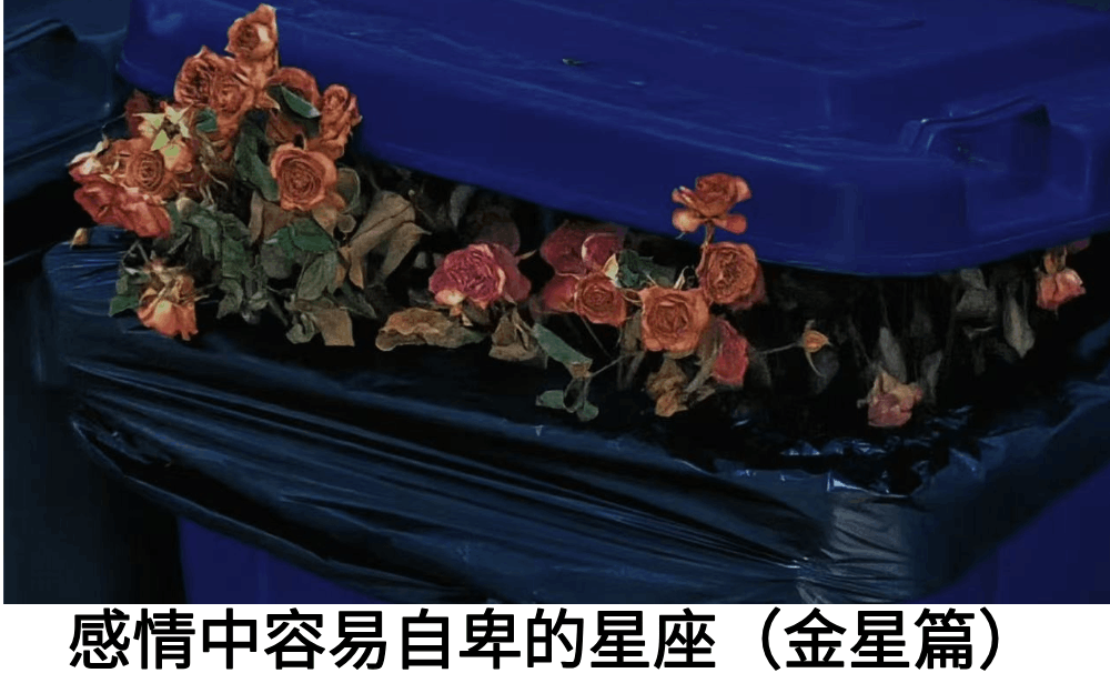 感情中容易自卑的星座（金星篇）