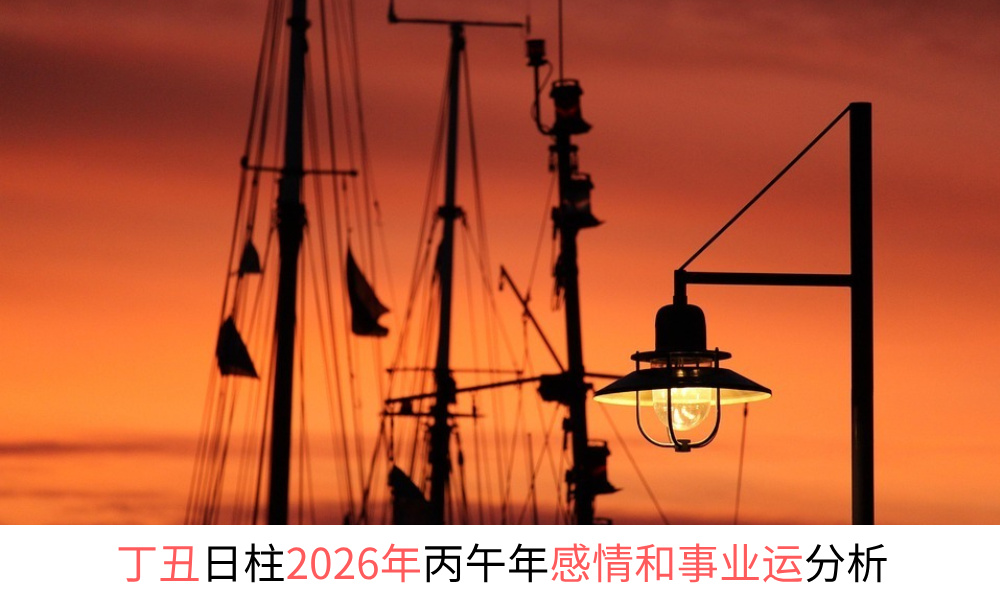 丁丑日柱2026年丙午年感情和事业财运分析