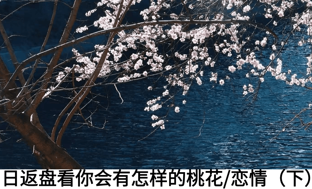 日返盘看你会有怎样的桃花/恋情（下）