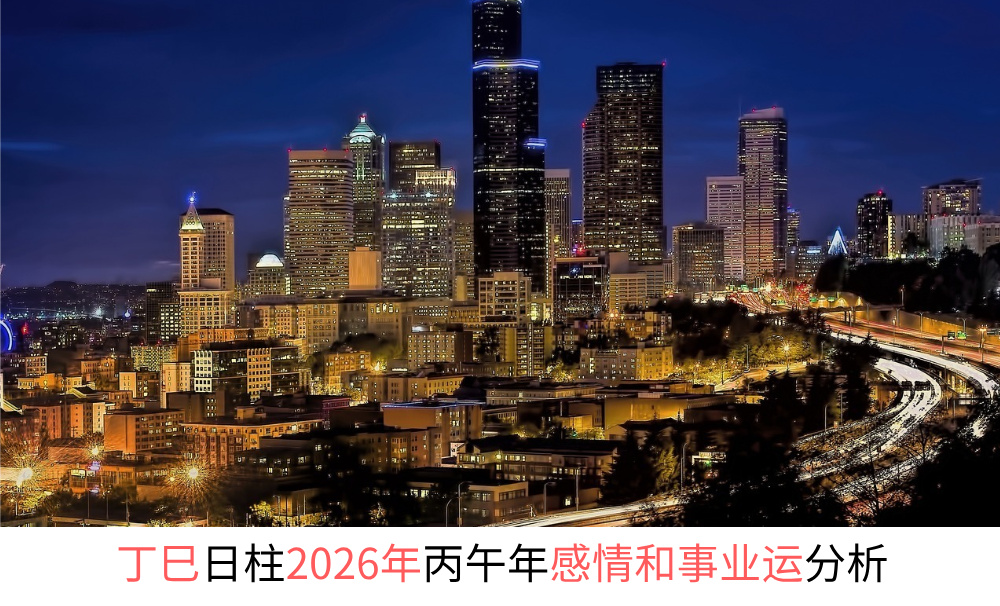 丁巳日柱2026年丙午年感情和事业财运分析