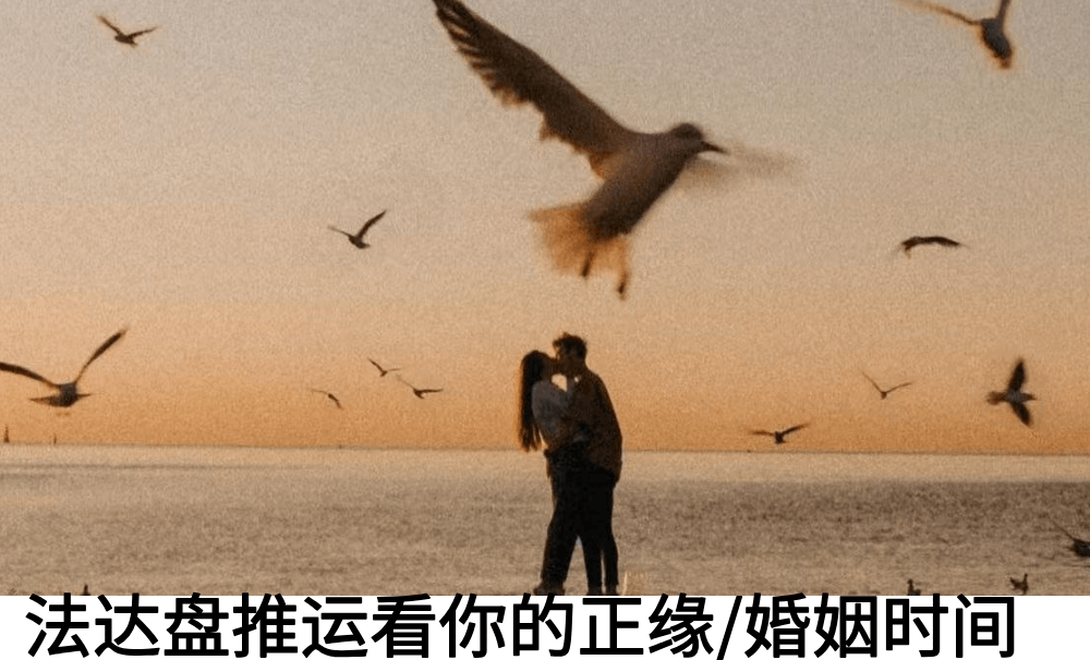 法达盘推运看你的正缘/婚姻时间