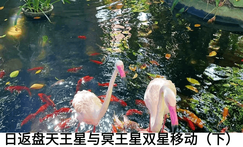 日返盘天王星与冥王星双星移动（下）