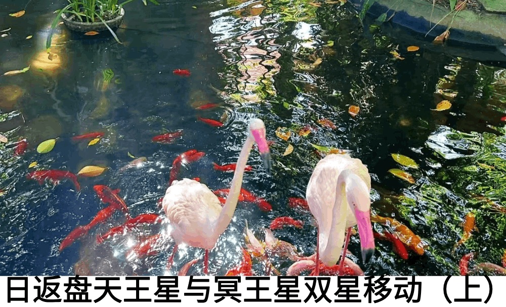 日返盘天王星与冥王星双星移动（上）