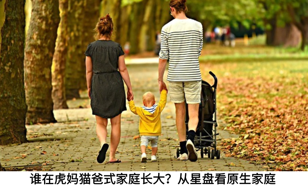 谁在虎妈猫爸式家庭长大？从星盘看原生家庭