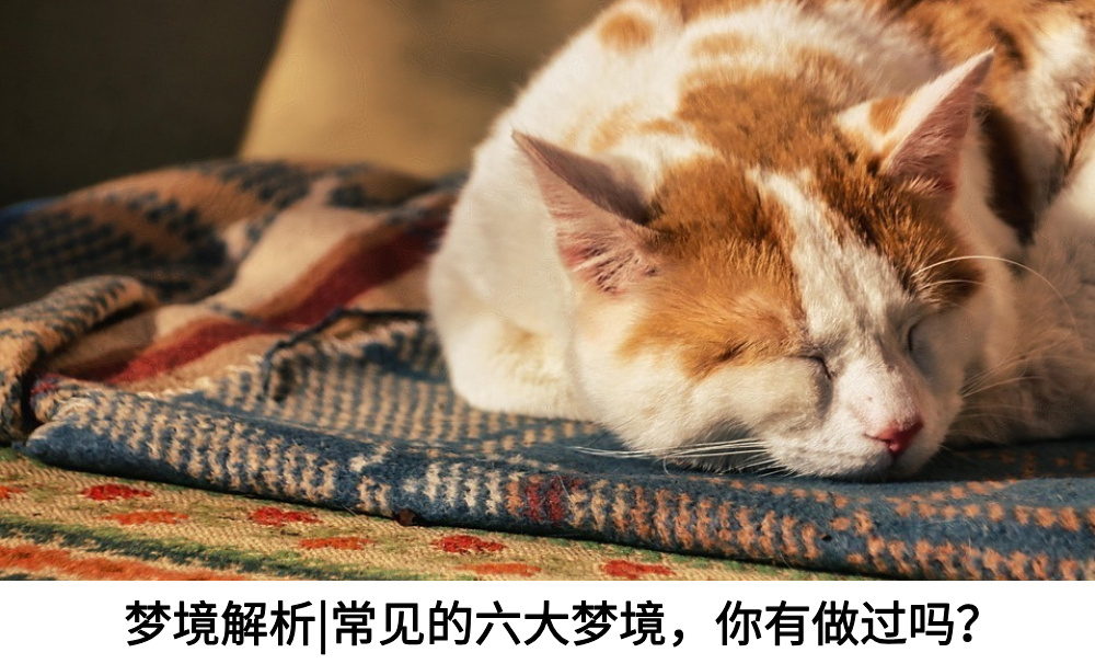 梦境解析|常见的六大梦境，你有做过吗？