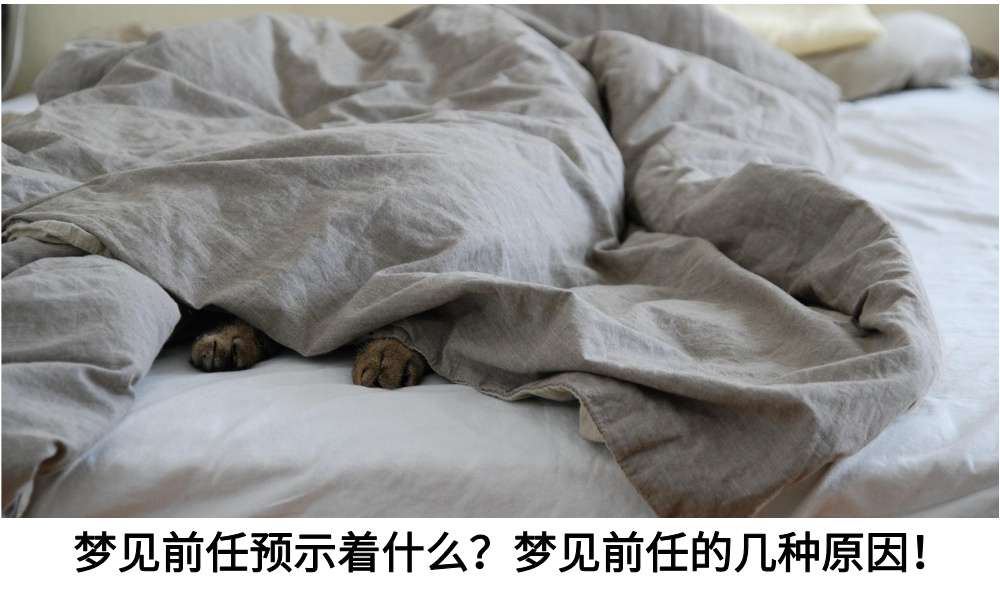 梦见前任预示着什么？梦见前任的几种原因！
